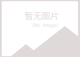 青岛市北初夏公益组织有限公司